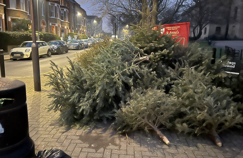 A pile of Christmas tree's outside At Anne's Church