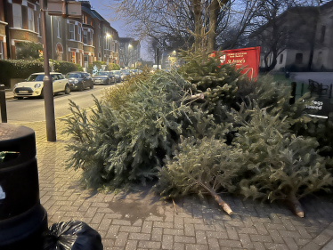 A pile of Christmas tree's outside At Anne's Church